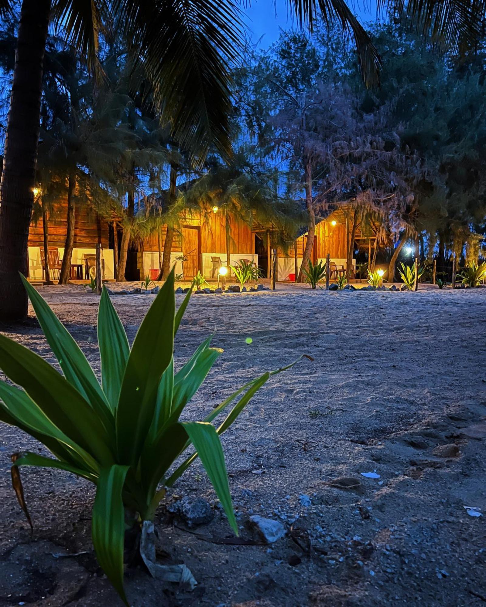 Sand Dune Beach Resort & Surf Camp Аругам Экстерьер фото