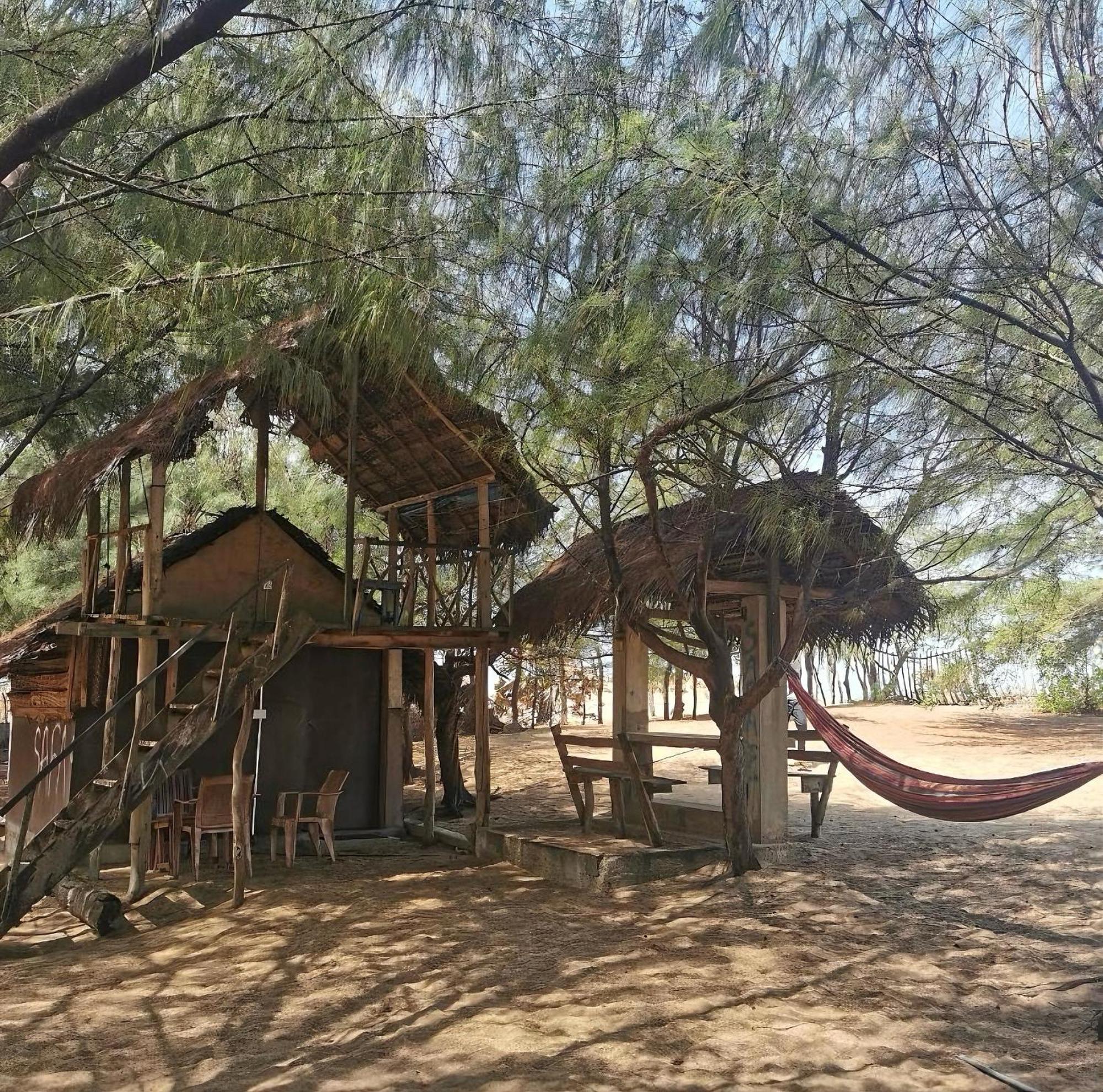 Sand Dune Beach Resort & Surf Camp Аругам Экстерьер фото