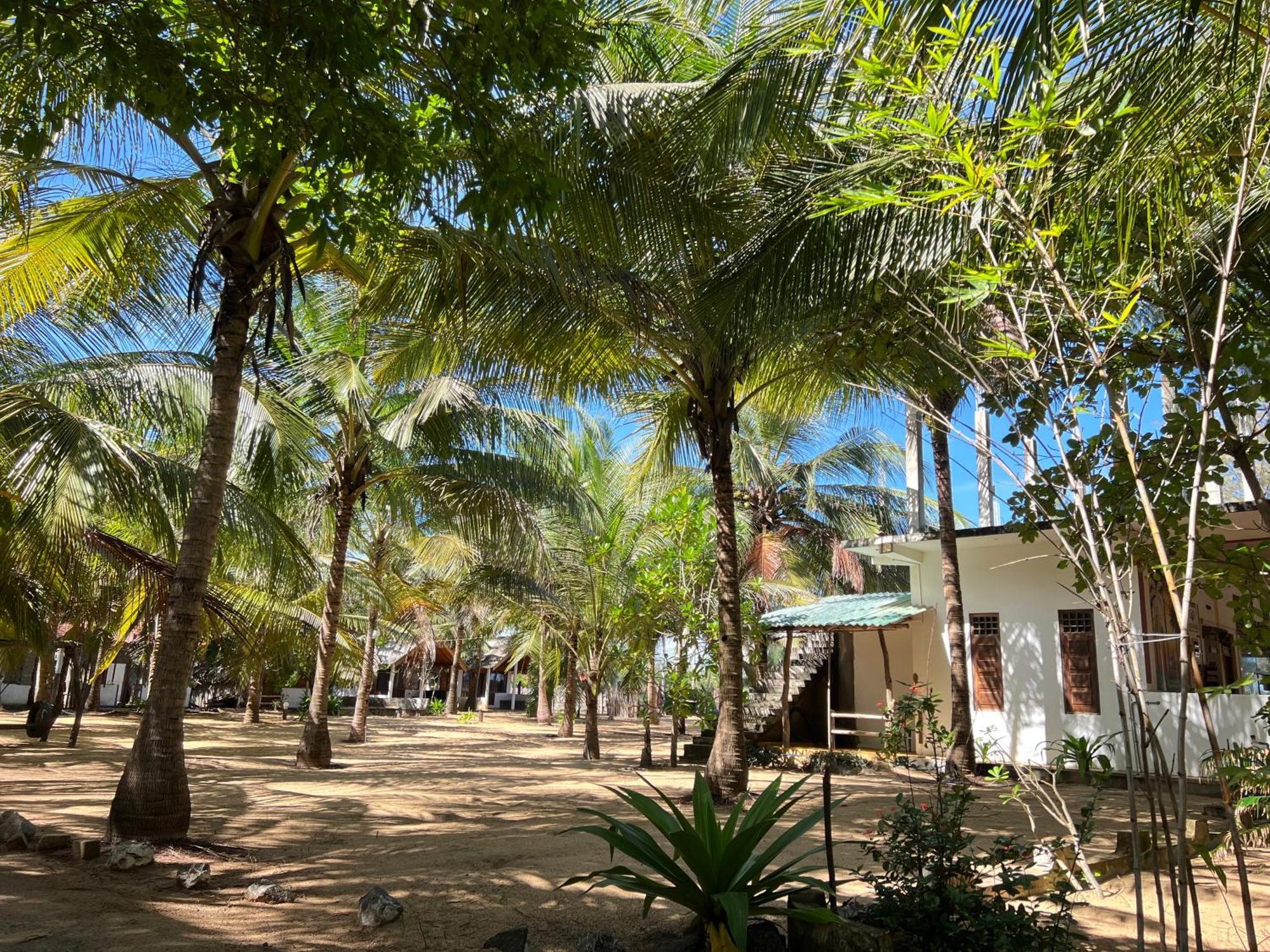 Sand Dune Beach Resort & Surf Camp Аругам Экстерьер фото
