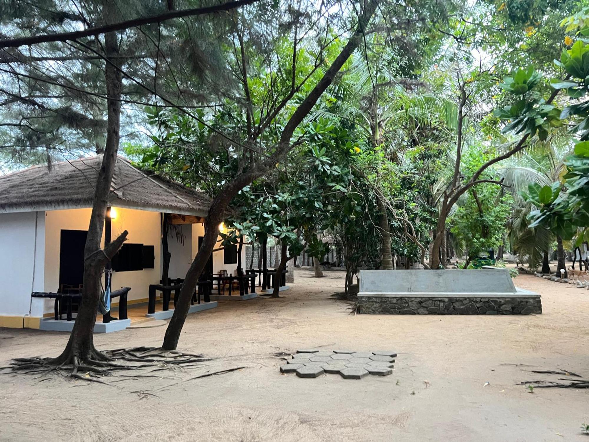 Sand Dune Beach Resort & Surf Camp Аругам Экстерьер фото