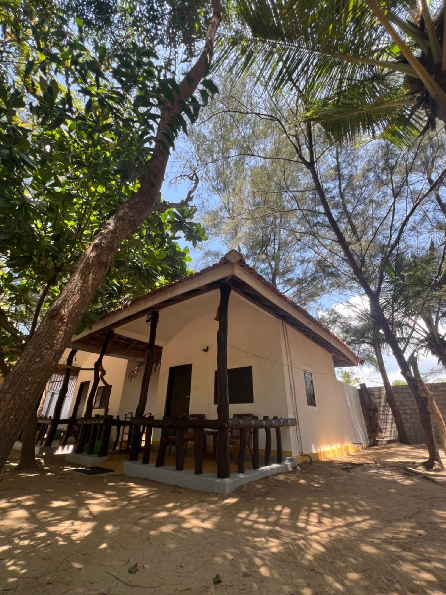 Sand Dune Beach Resort & Surf Camp Аругам Экстерьер фото